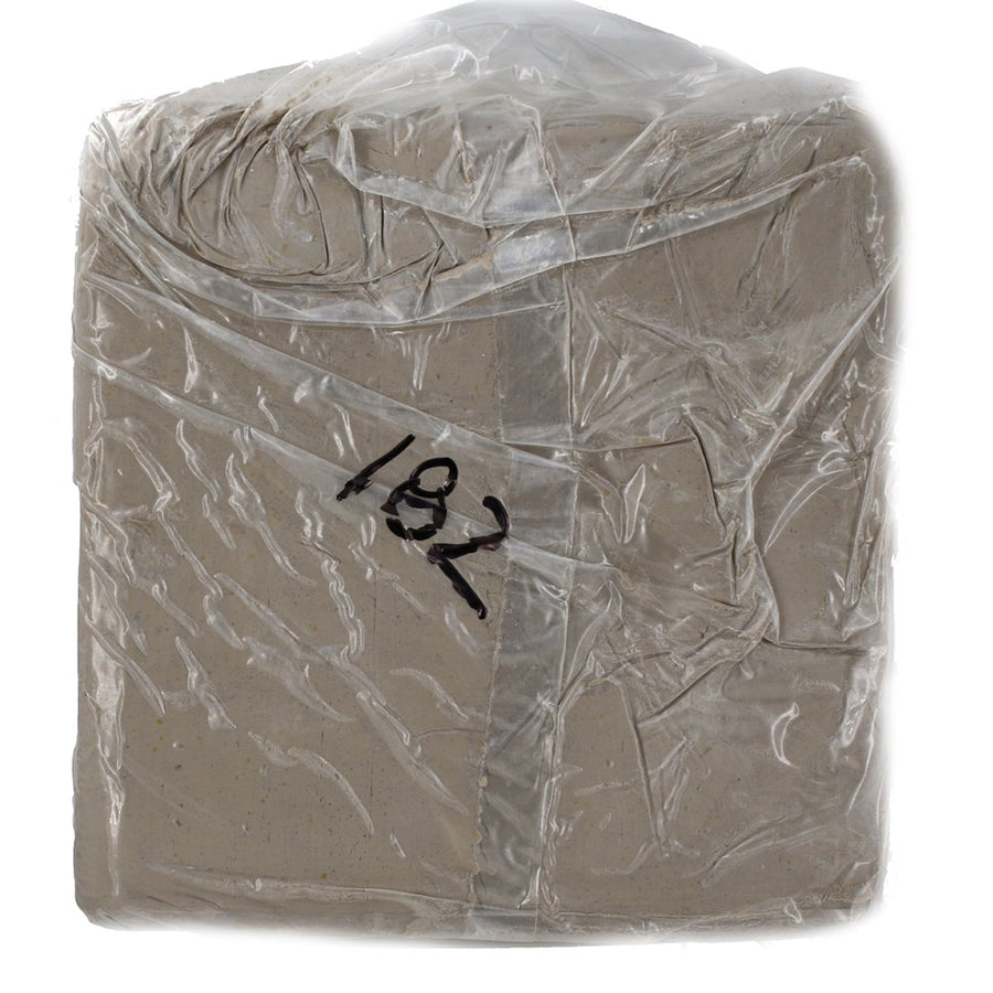 Ceramic 25 Lb Bag of White Stoneware Clay