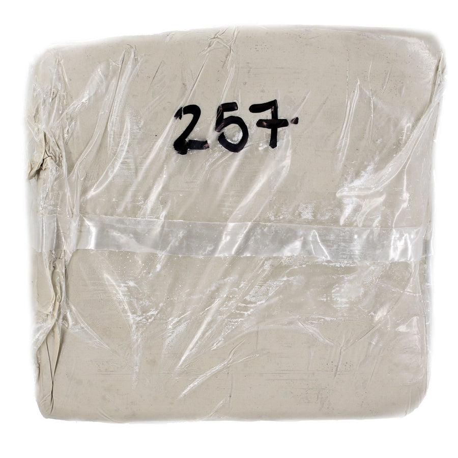 25 Lb Bag of Porcelain Clay