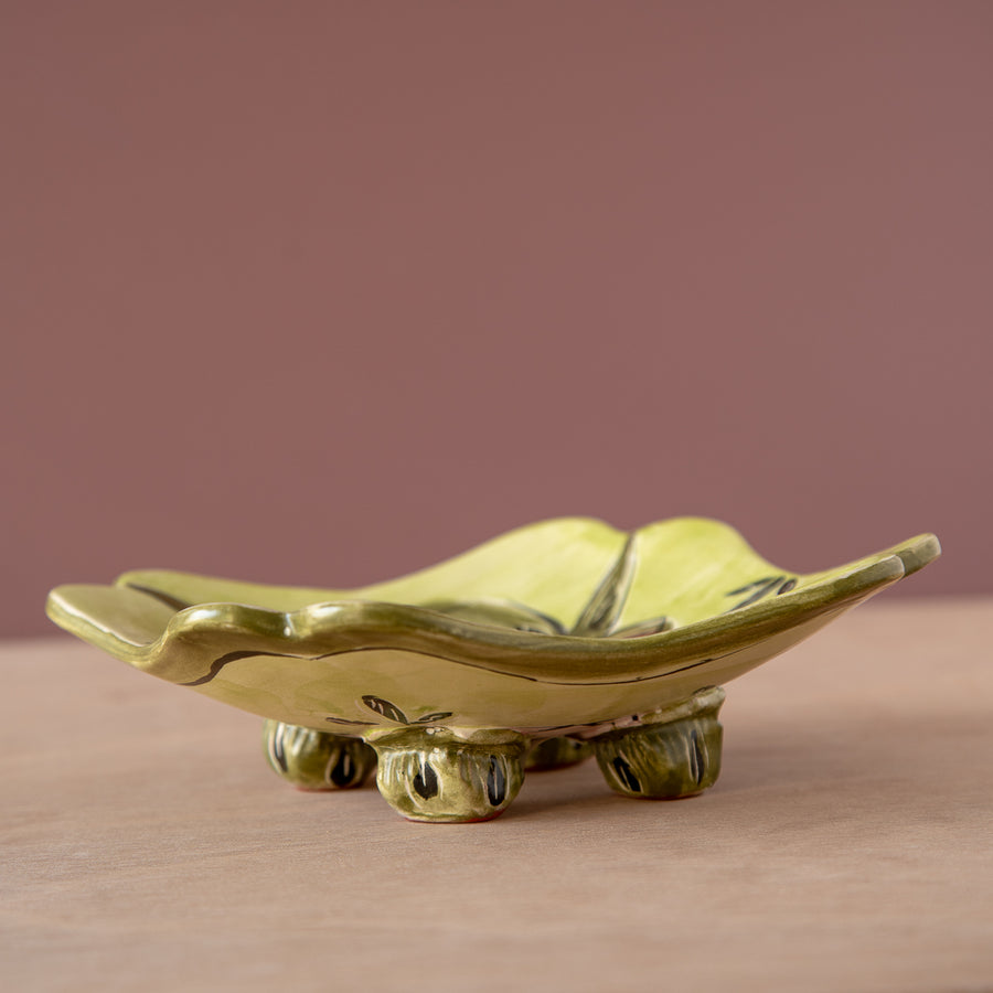 Bacopoulos | Collection