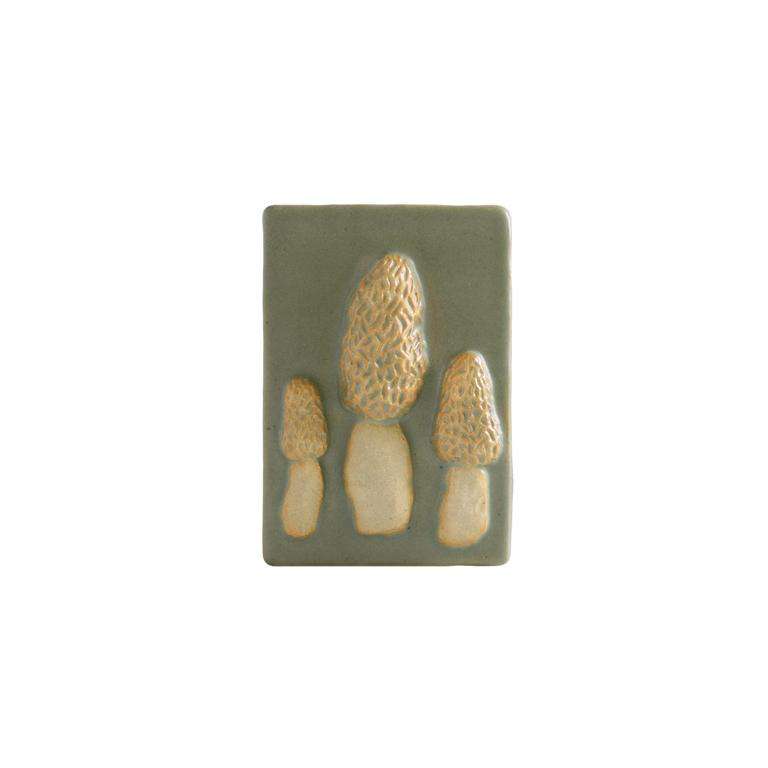 Ceramic Morel Tile